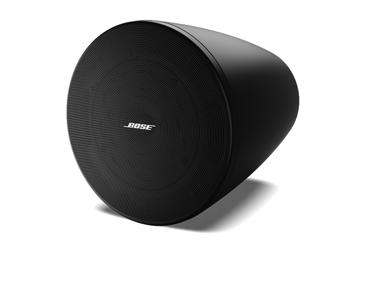 Enceinte à montage en surface Bose DesignMax DM5P Blanc (La paire)
